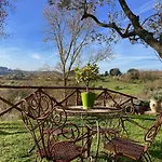 Casa de Férias Grove Cottage: Immersed In Nature & Close To Town