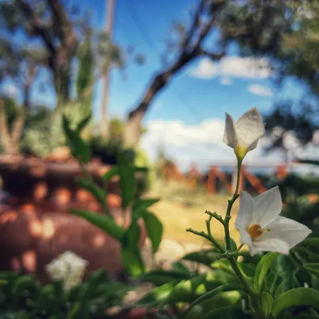 Semesterbostad Grove Cottage: Immersed In Nature & Close To Town Città della Pieve