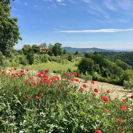 Grove Cottage: Immersed In Nature & Close To Town بيت للعطل