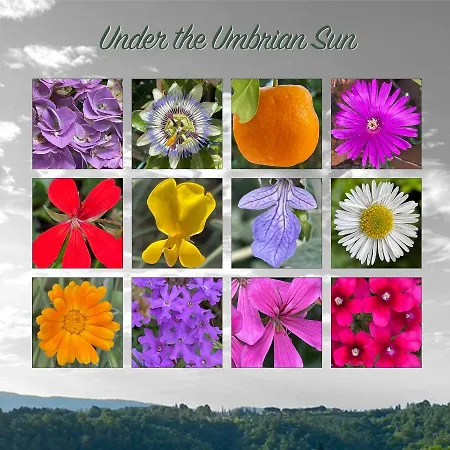 Grove Cottage: Immersed In Nature & Close To Town *