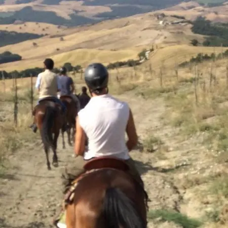 Grove Cottage: Immersed In Nature & Close To Town Dom wakacyjny Città della Pieve