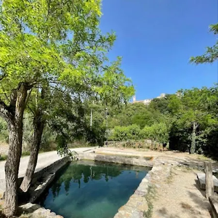 Grove Cottage: Immersed In Nature & Close To Town بيت للعطل