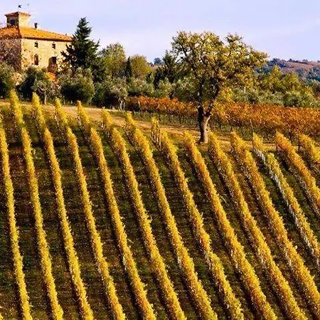 Grove Cottage: Immersed In Nature & Close To Town Città della Pieve
