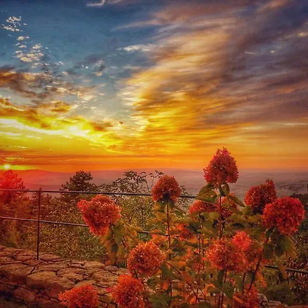 Grove Cottage: Immersed In Nature & Close To Town Dom wakacyjny Città della Pieve