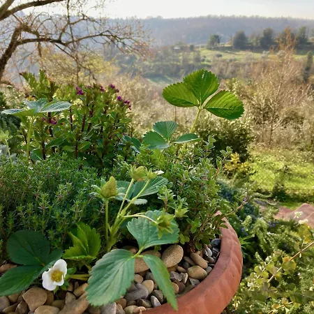 Semesterbostad Grove Cottage: Immersed In Nature & Close To Town