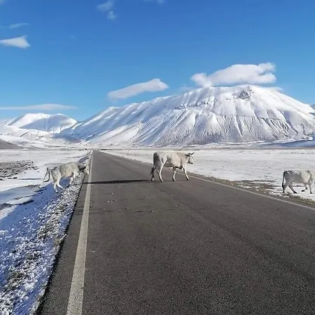 Grove Cottage: Immersed In Nature & Close To Town * Città della Pieve